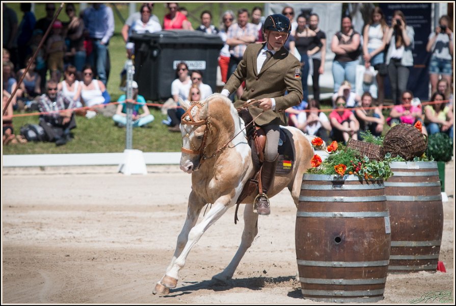 Pferd International 131